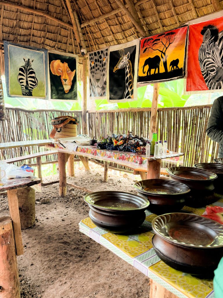 the coffee plantation on the foothills of Mt Kilimanjaro