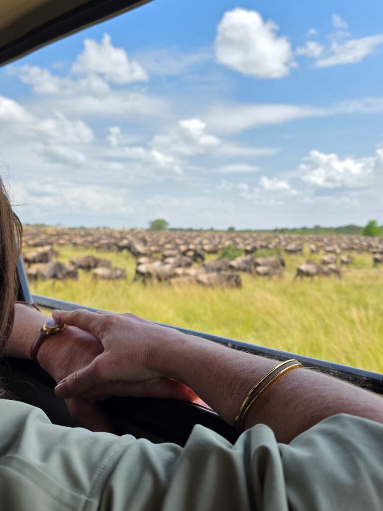 watching wildebeest on safari in Serengeti