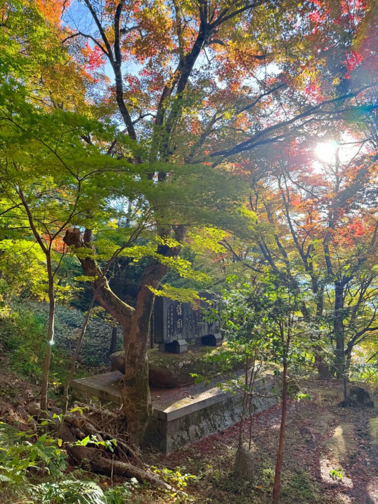 Ruins of the castle at Takayama