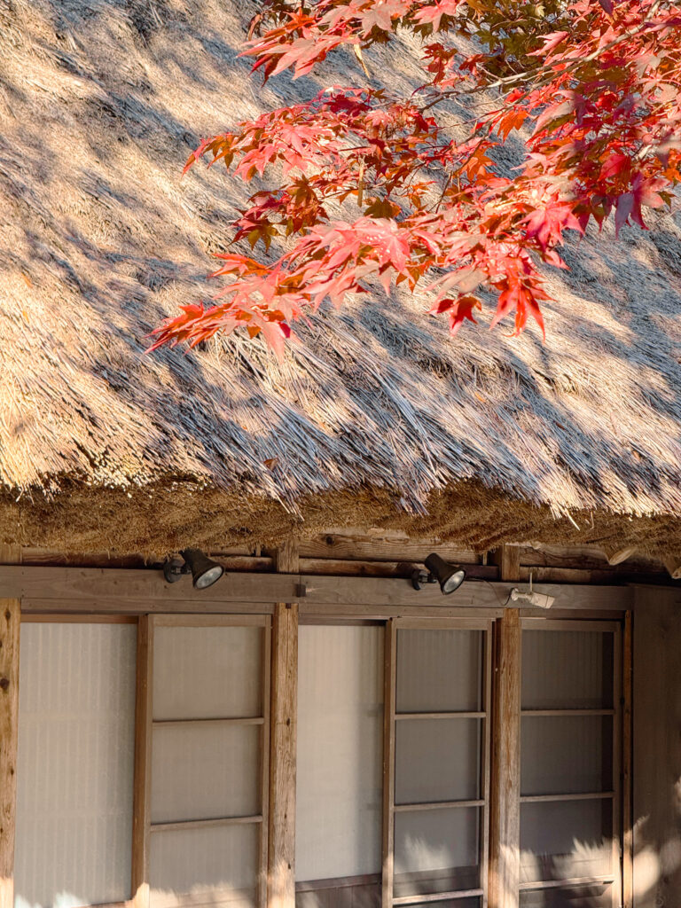 gassho-houses in shirakawa-go japan