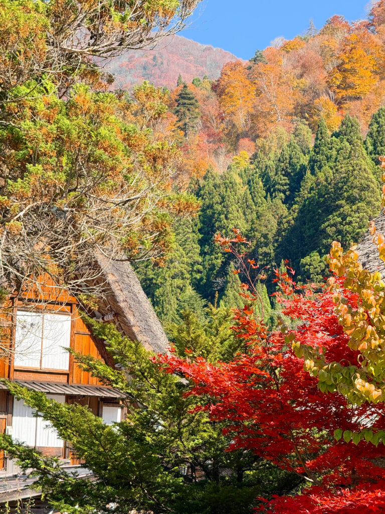 autumn in Shirakawa-go, Japan