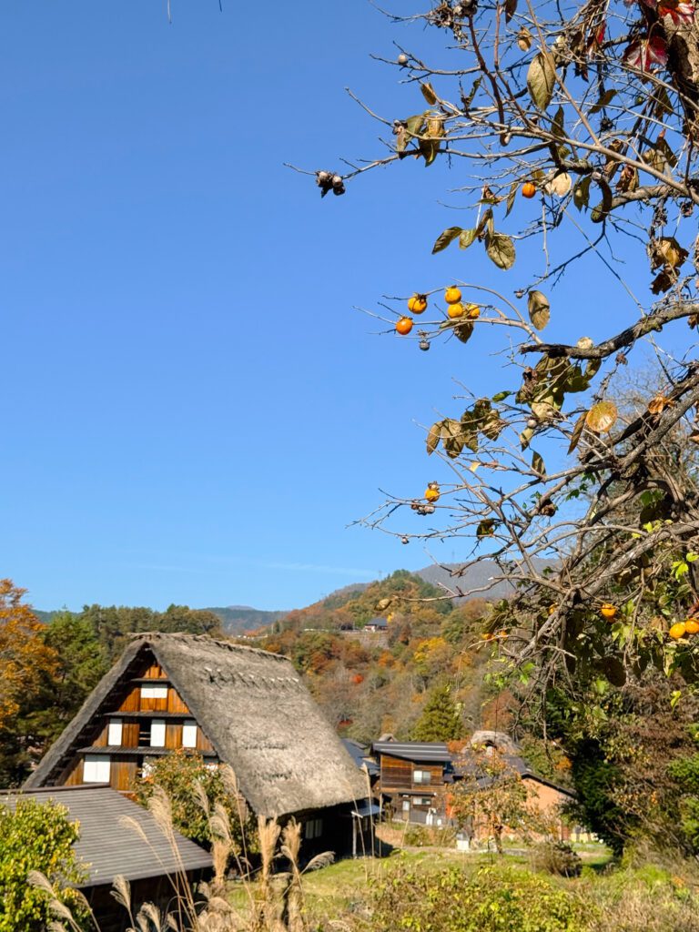 autumn in Shirakawa-go, Japan