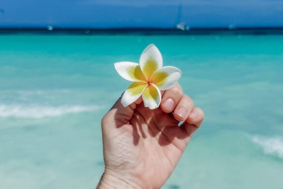 What to do in Zanzibar – the ultimate Zanzibar itinerary