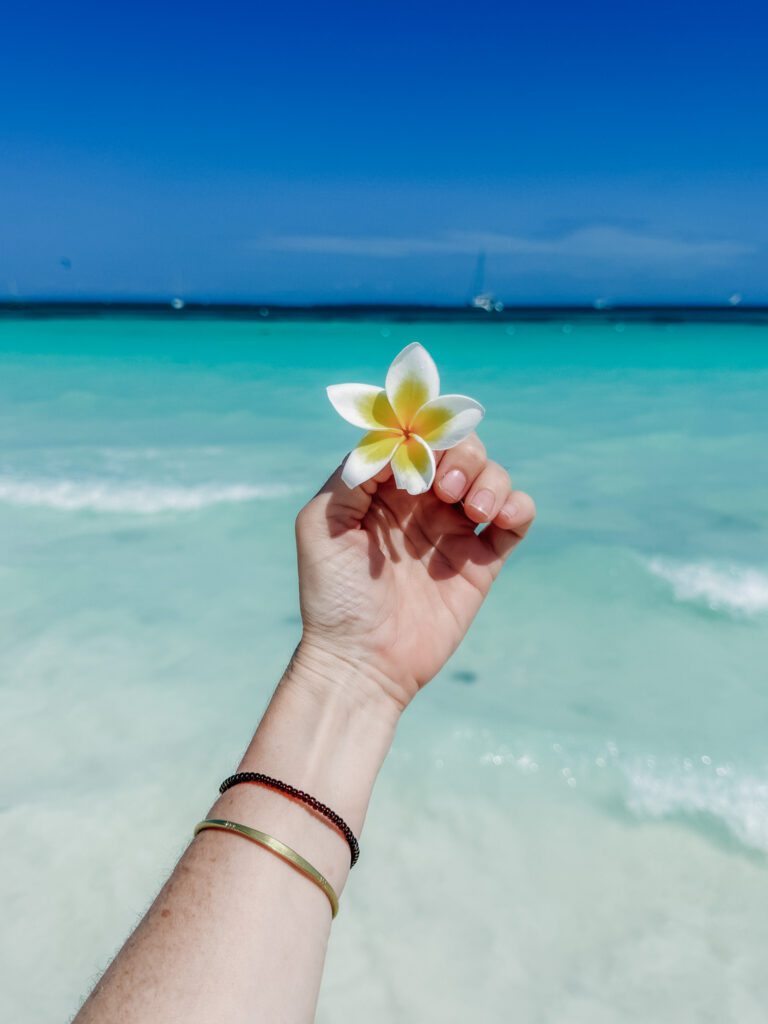 Beautiful Beaches on Zanzibar