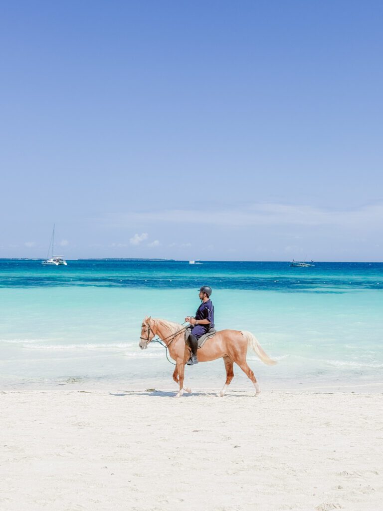 horse riding on Zanzibar is popular