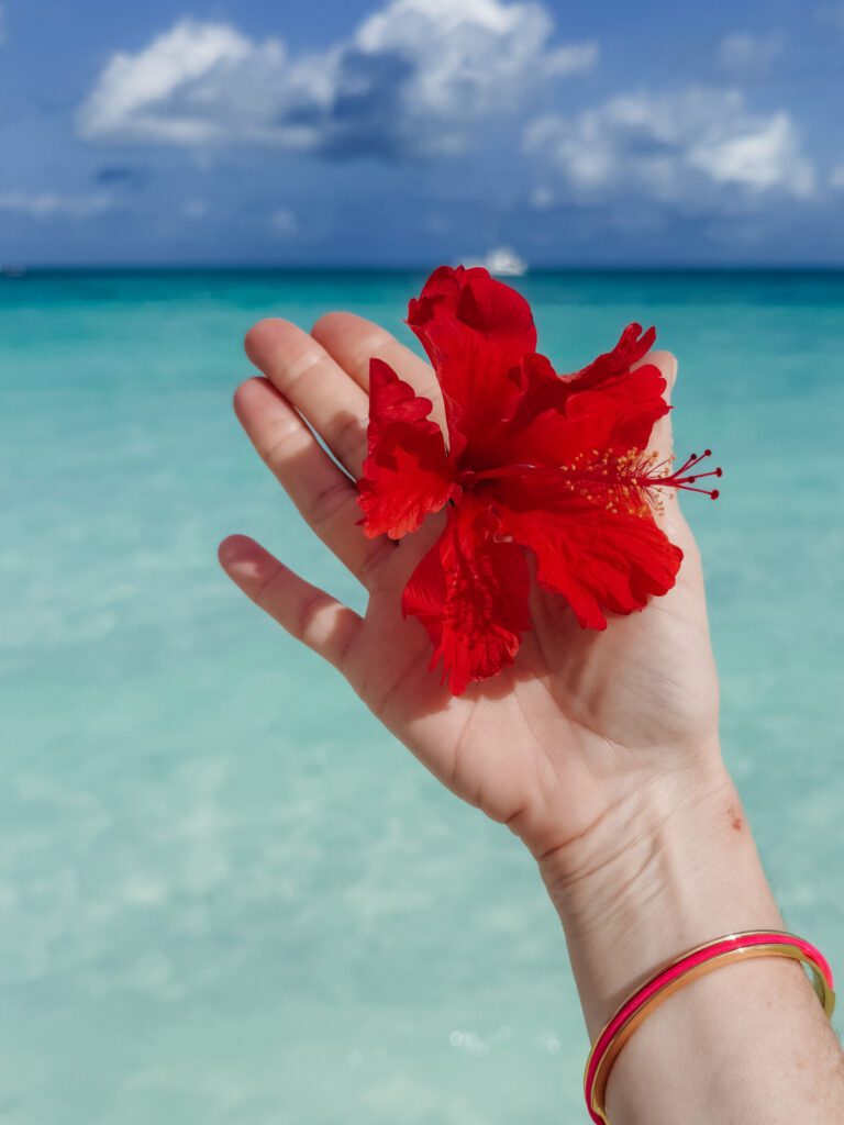 best beaches on Zanzibar
