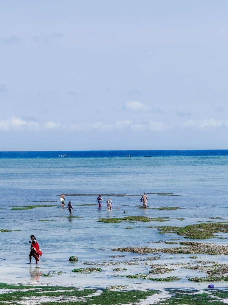 Beach club on Zanzibar