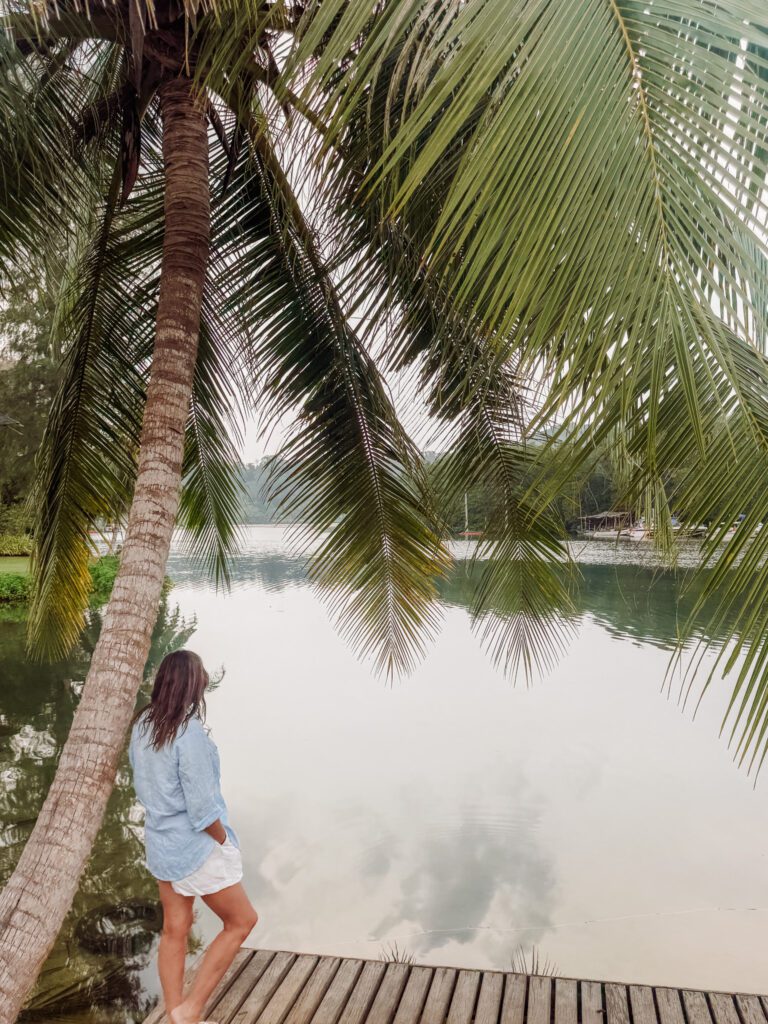 Breakfast over looking the river at Little White Bird Traveller Hotel, such a great stay in Khlong Chao Beach Ko Kood