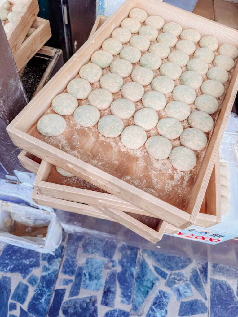 Fresh mochi at Nakatanidou Mochi Store, Nara