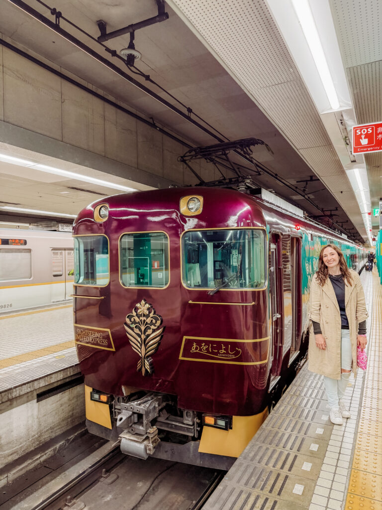 Kintetsu Sightseeing Limited Express "Aoniyoshi"