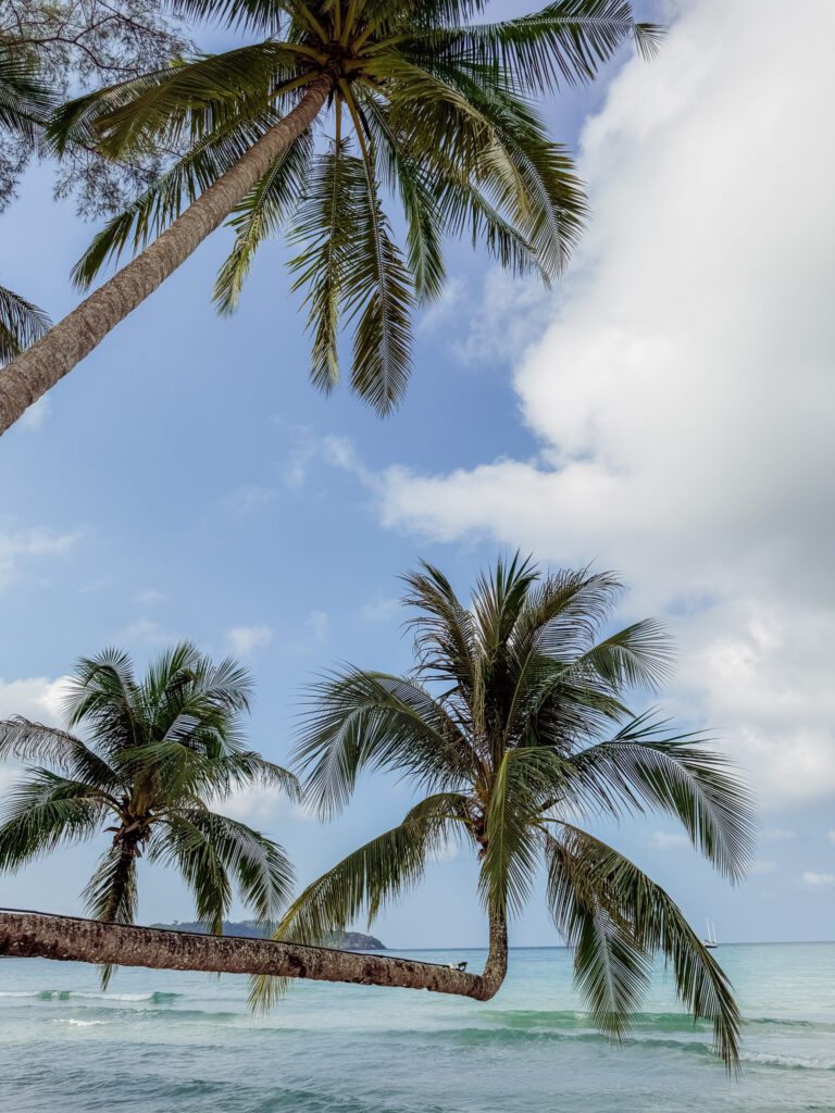 The iconic beachfront at High Season Ko Kood