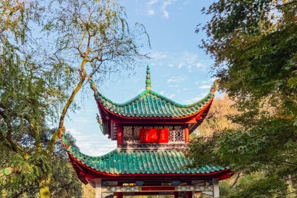 One Day in Changsha: The Perfect Transit Itinerary Before an Early Flight (2026 Guide)