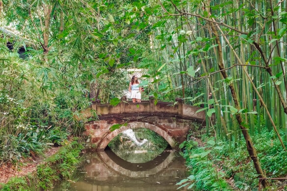 Is Chengdu Worth Visiting? China’s Most Underrated City (Pandas, Food & What to Expect)