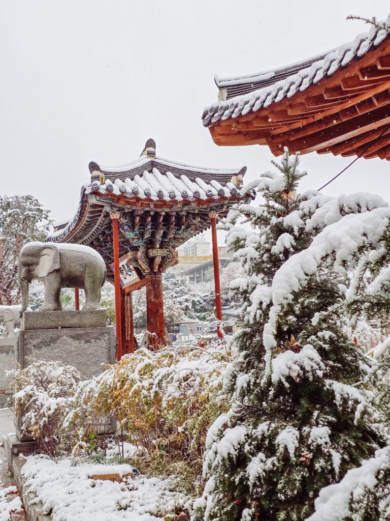 snow in seoul late novmeber