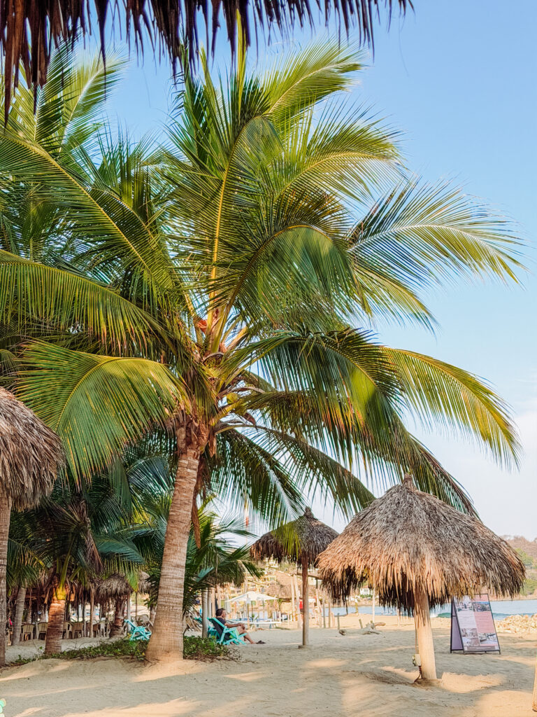 beachfront of azul pitaya beachfront hotel in sayulita, mexico