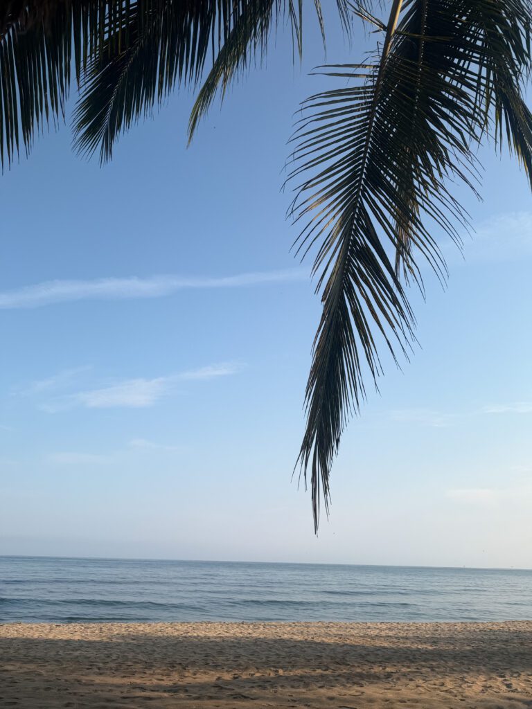stunning beach front of azul pitaya beachfront hotel in sayulita, mexico
