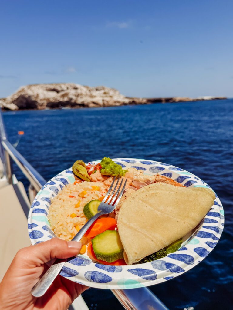 our marietas island tour from sayulita was excellent in mexico