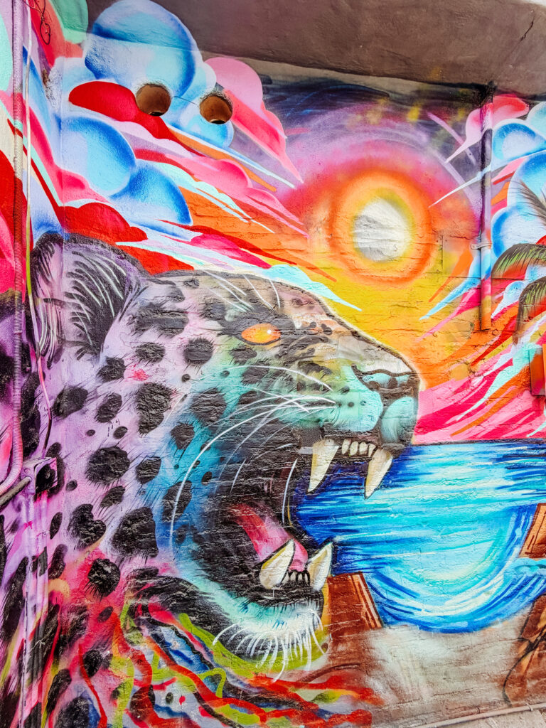 cool street art in san pancho