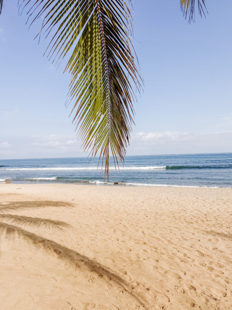 beach in sayulita mexico