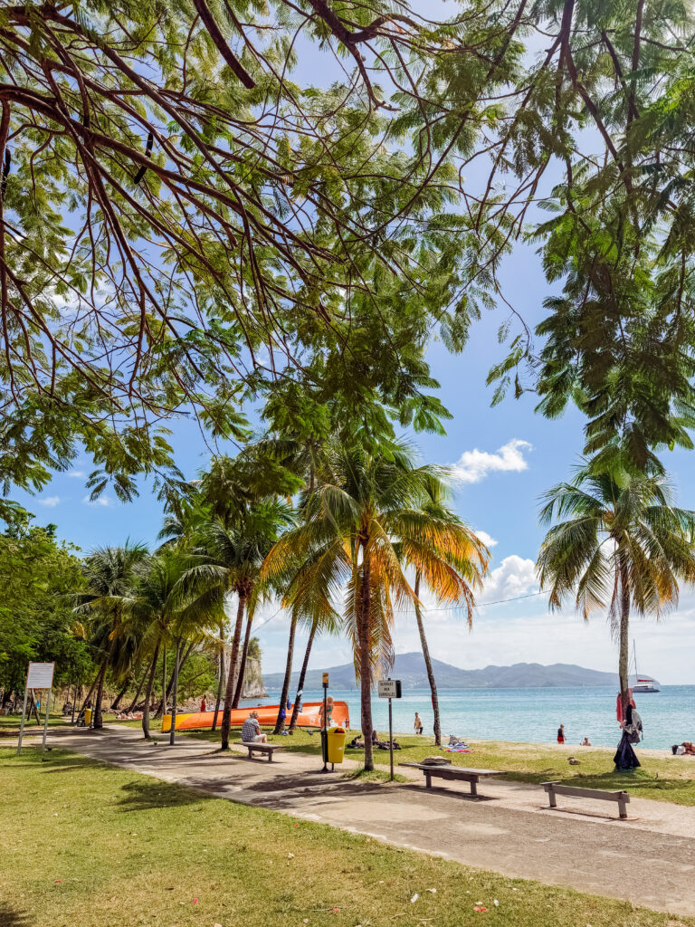 gardens behind the beach in martinique