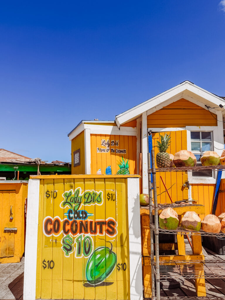 coconuts for sale in nassau at junkanoo beach