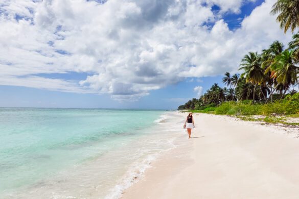 Dominican Republic Itinerary: 7, 10 & 14 Day Route (Punta Cana, Bayahibe & Santo Domingo)