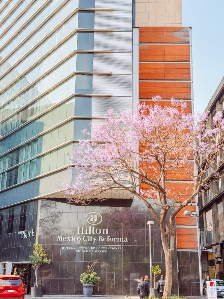 best places to stay in mexico city