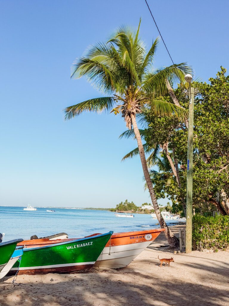 local beach bayahibe, dominican republic