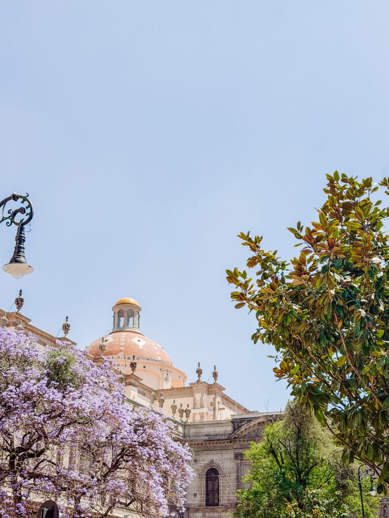 pretty city details in mexico city