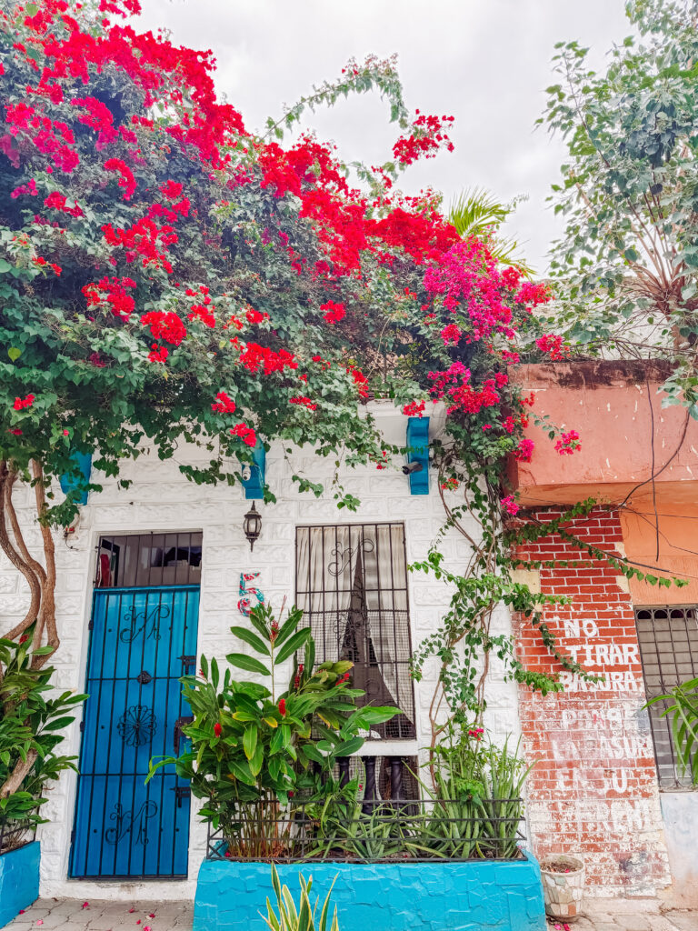 centro historico