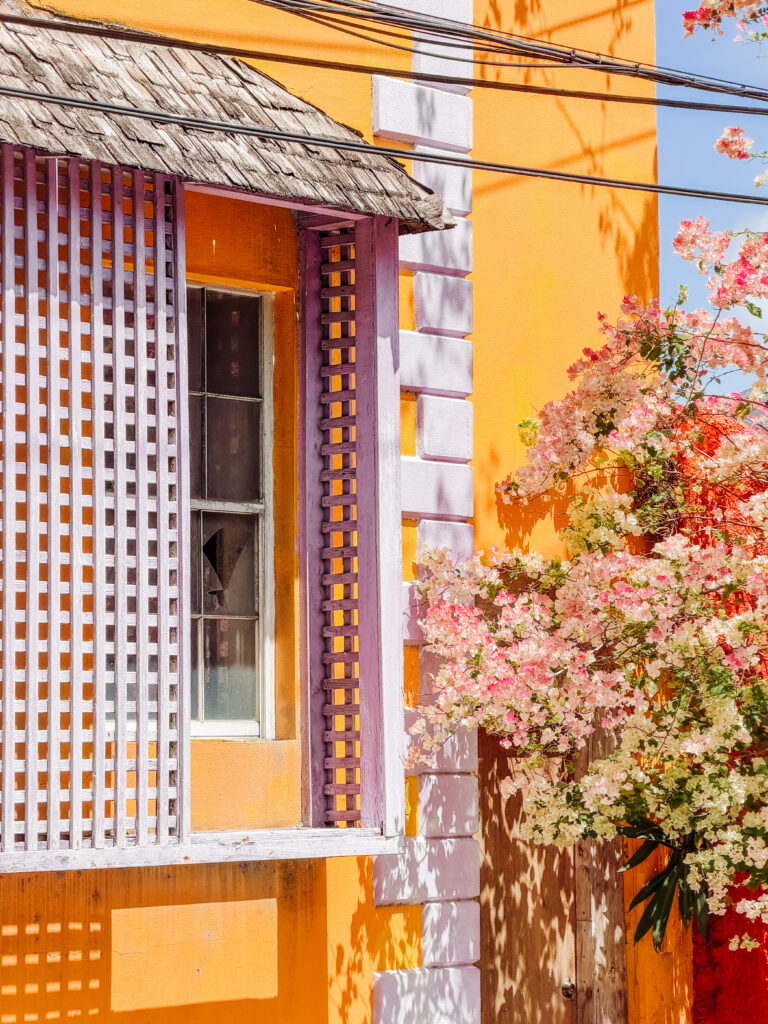 colourful details on umbrella street in nassau