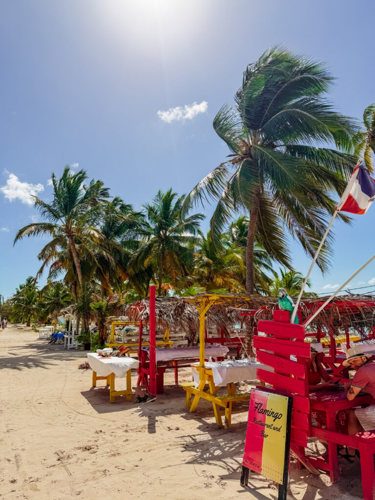 beach lunch on saona island was incredible, bayahibe dominican republic