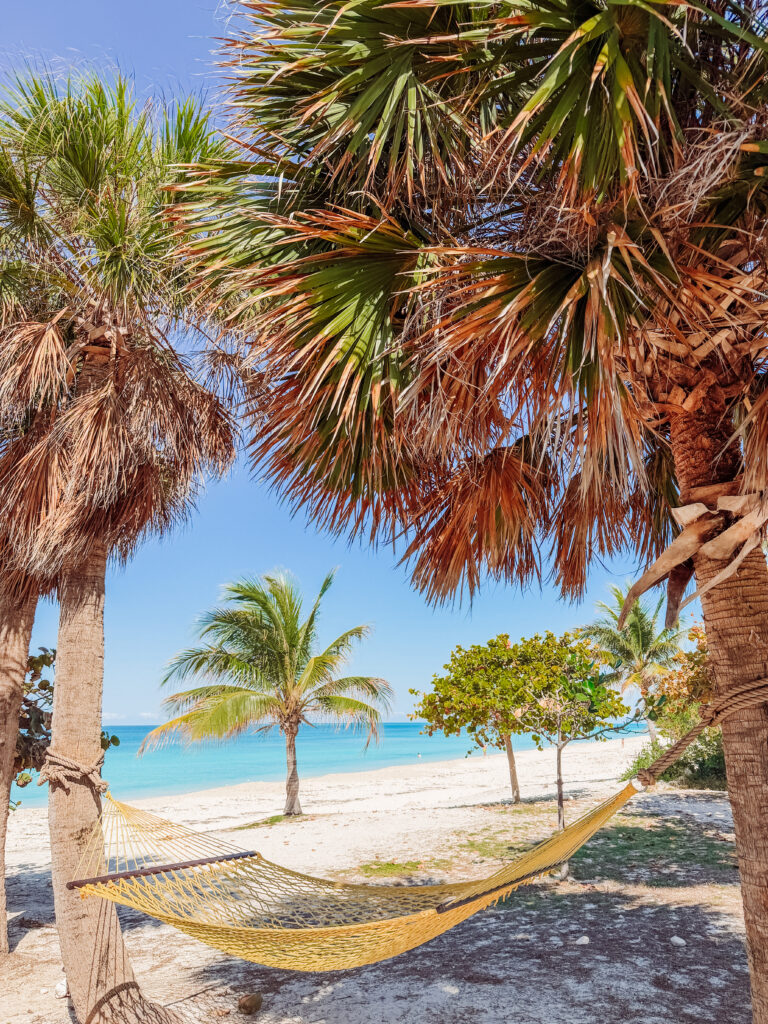 hammocks on sunset beach ocean cay bahamas