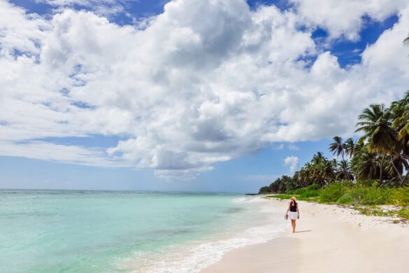 Saona Island Day Trip with SeaVis Tours: Honest Review + Is It Worth It? (2026)