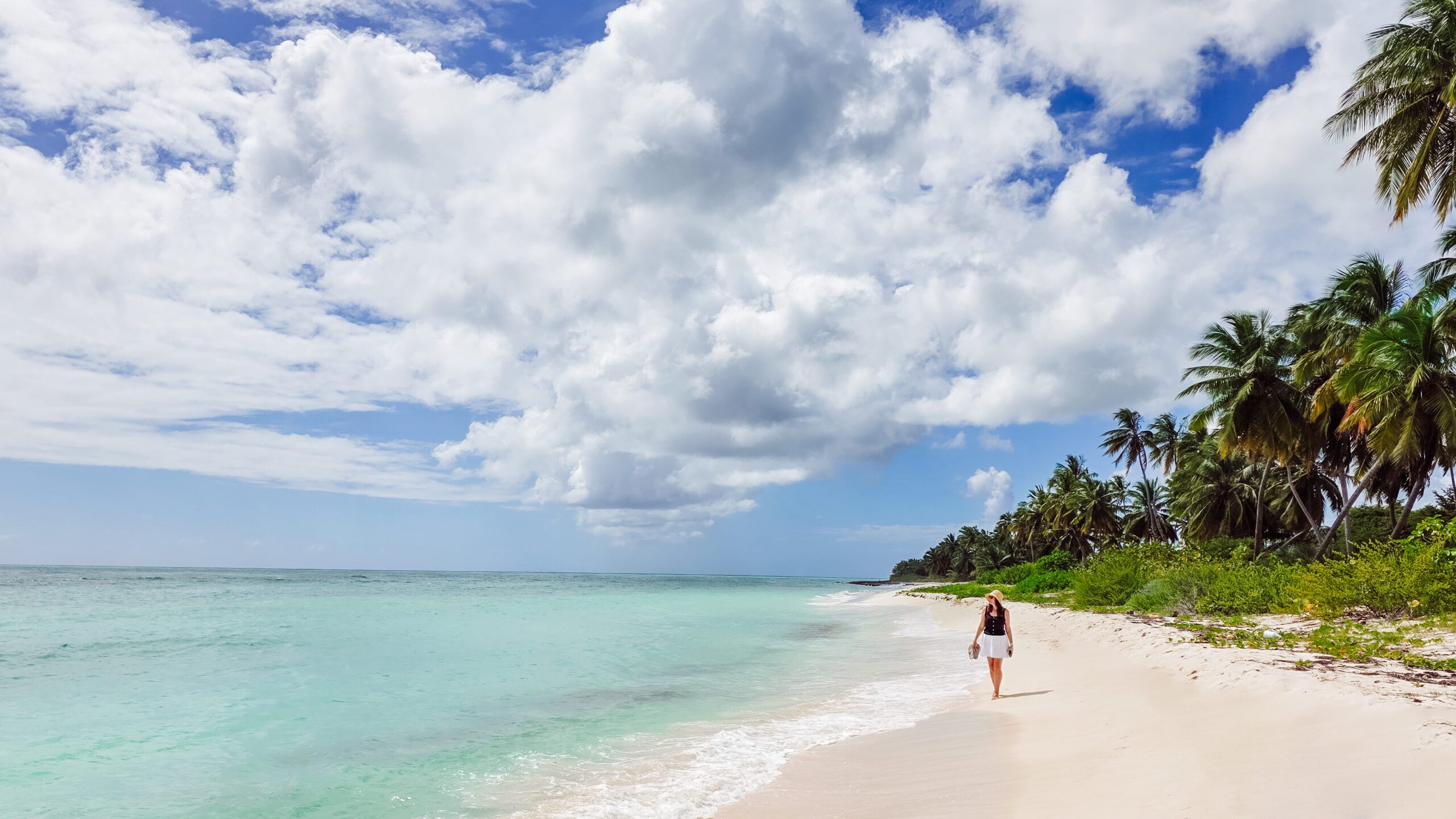 saona island tour with sea vis tours dominican republic