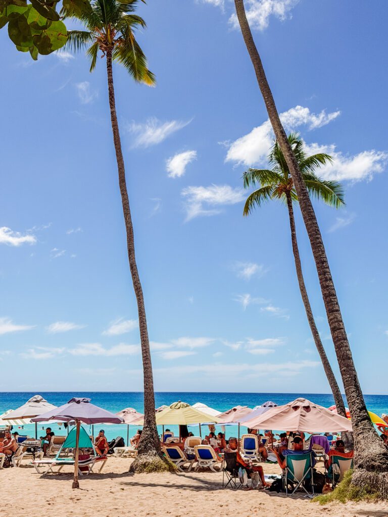 dominicus beach, bayahibe, dominican republic