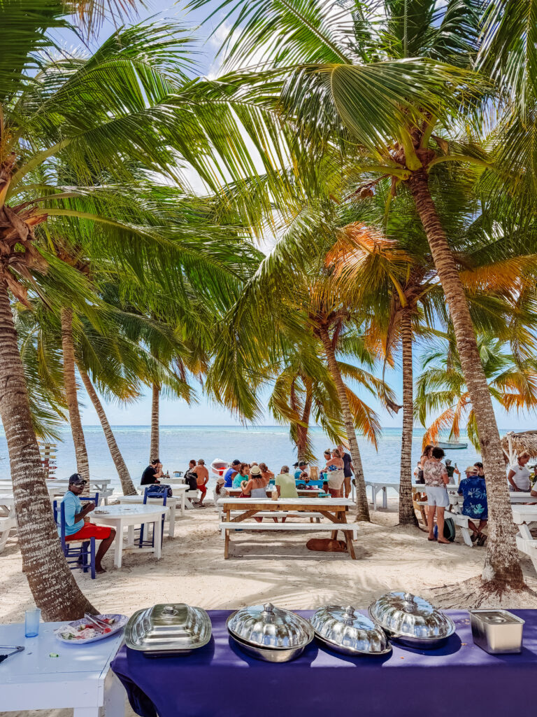 beach lunch on saona island was incredible, bayahibe dominican republic