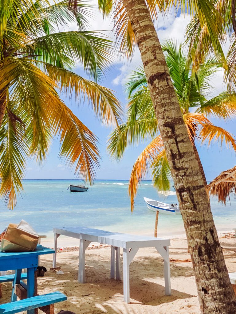 beach lunch on saona island was incredible, bayahibe dominican republic