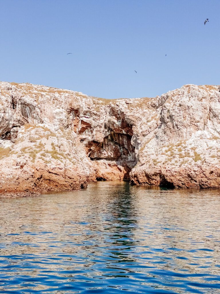 best boat activity marietas islands sayulita mexico