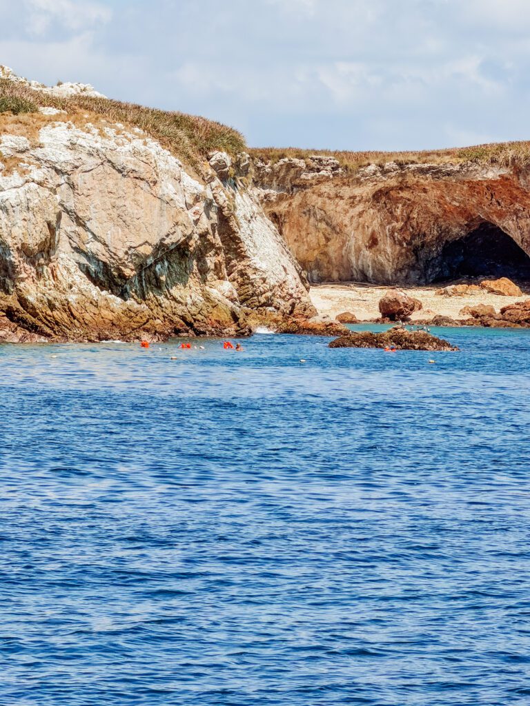 our marietas island tour from sayulita was excellent in mexico