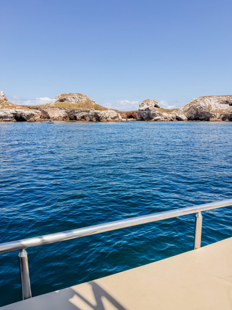 our marietas island tour from sayulita was excellent in mexico