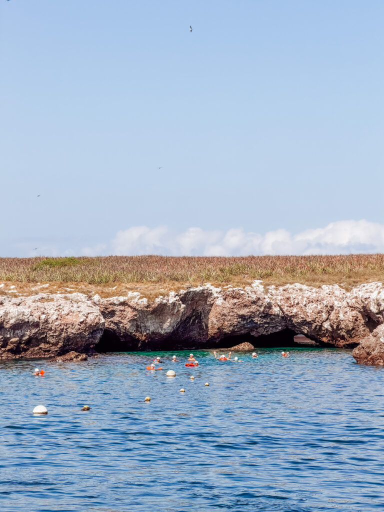 our marietas island tour from sayulita was excellent in mexico