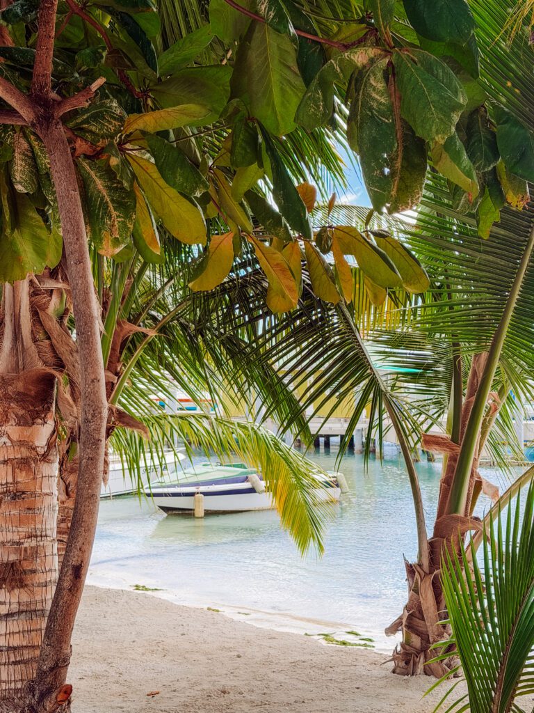 marina at st maarten in philipsburg