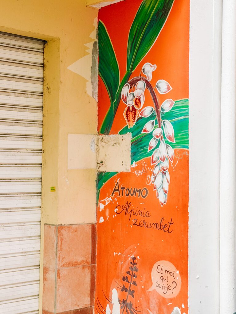 there are so many stunning pieces of street art around martinique