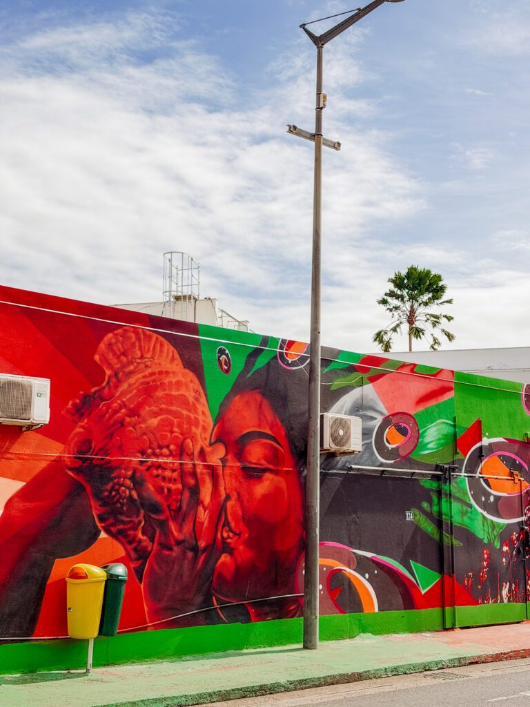 there are so many stunning pieces of street art around martinique
