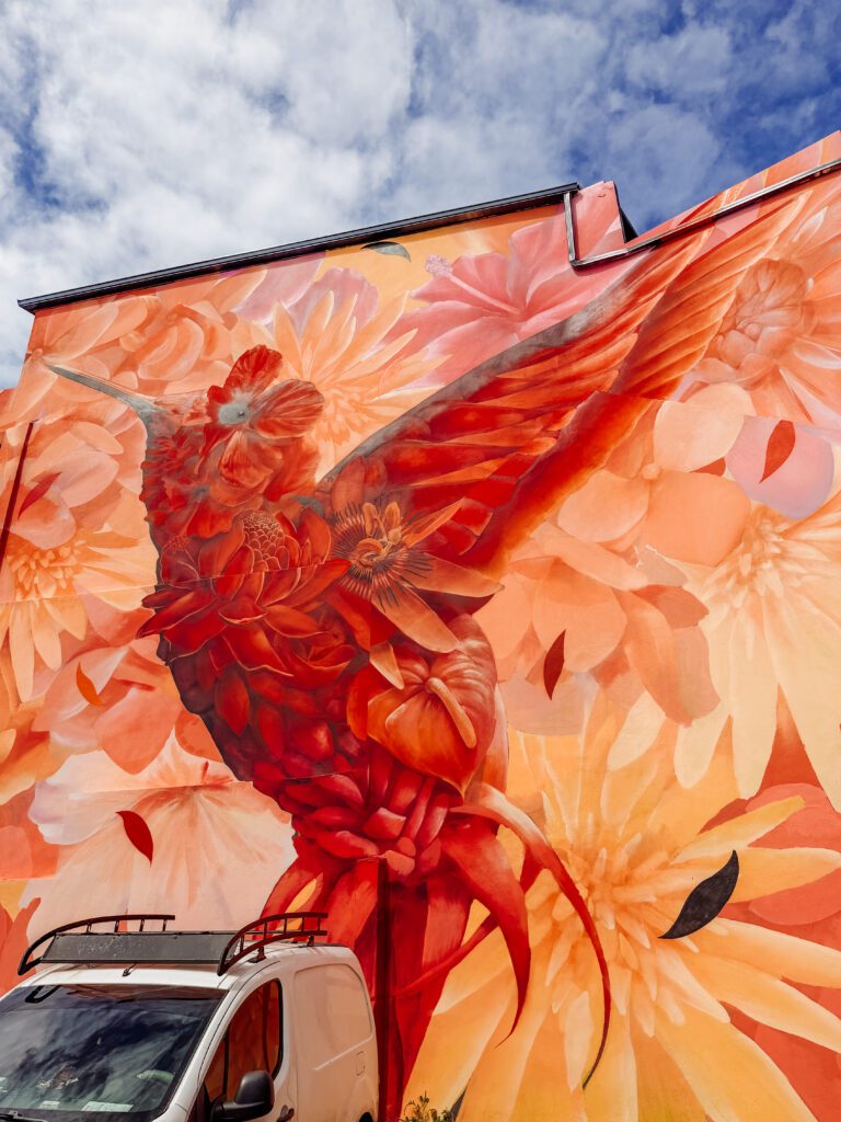 there are so many stunning pieces of street art around martinique