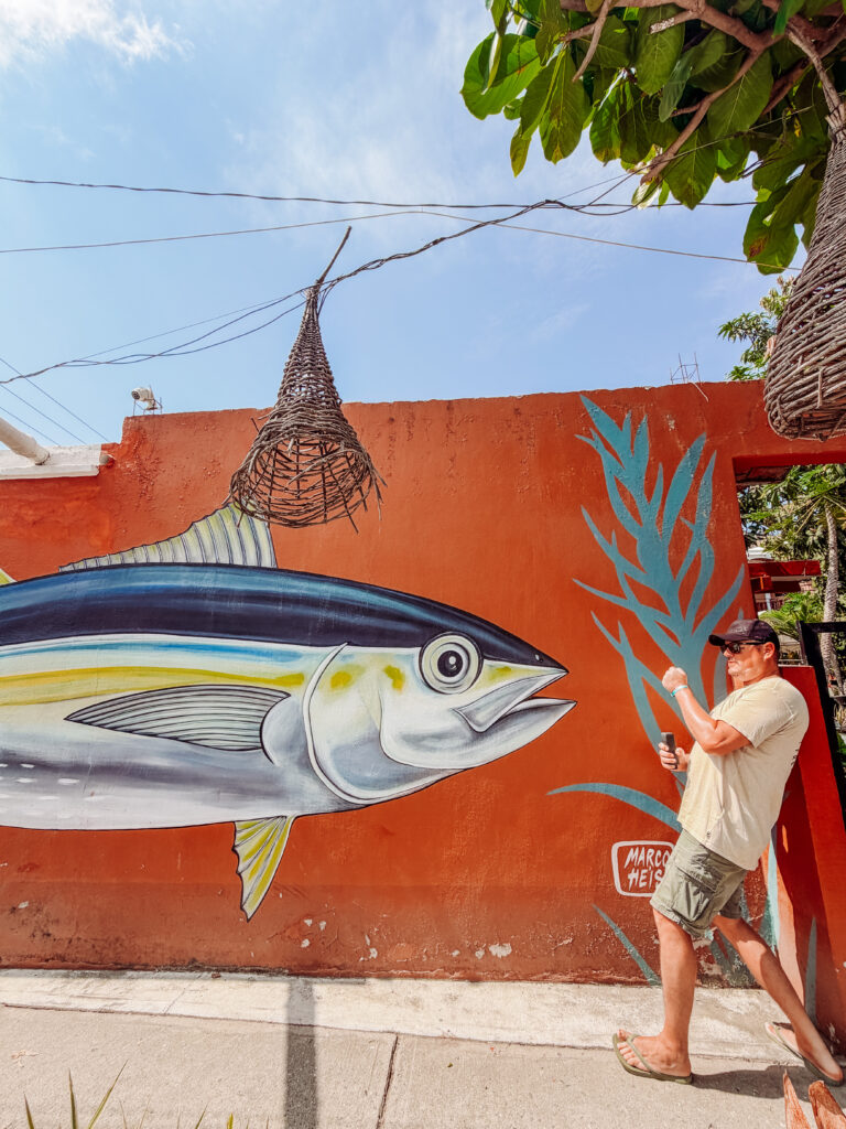 mike reeling in some street art in san pancho mexico