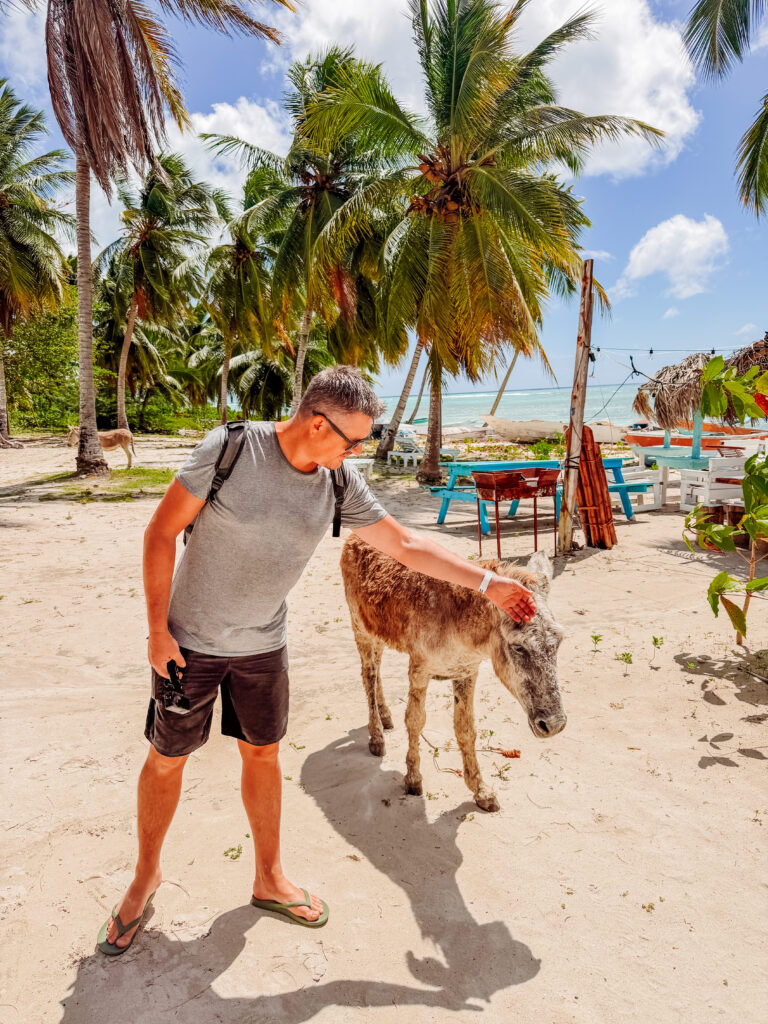 mike with donkey on saona beach