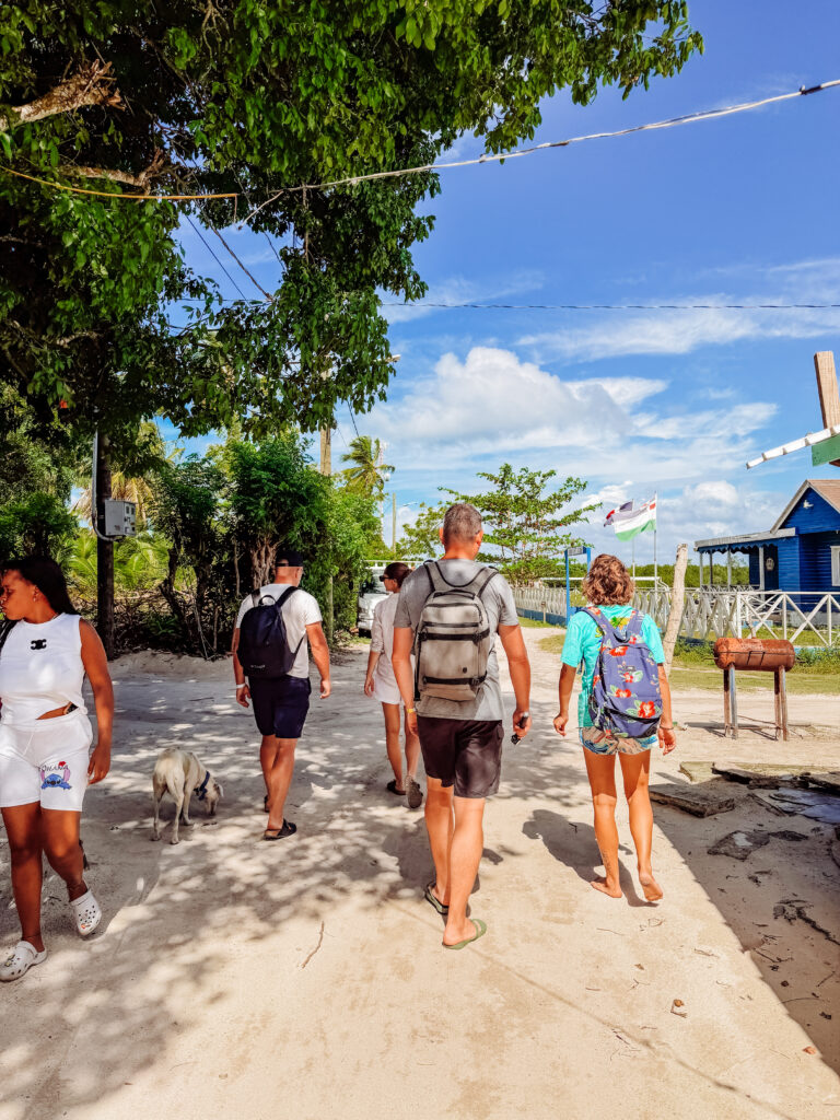 mike with tour on saona beach