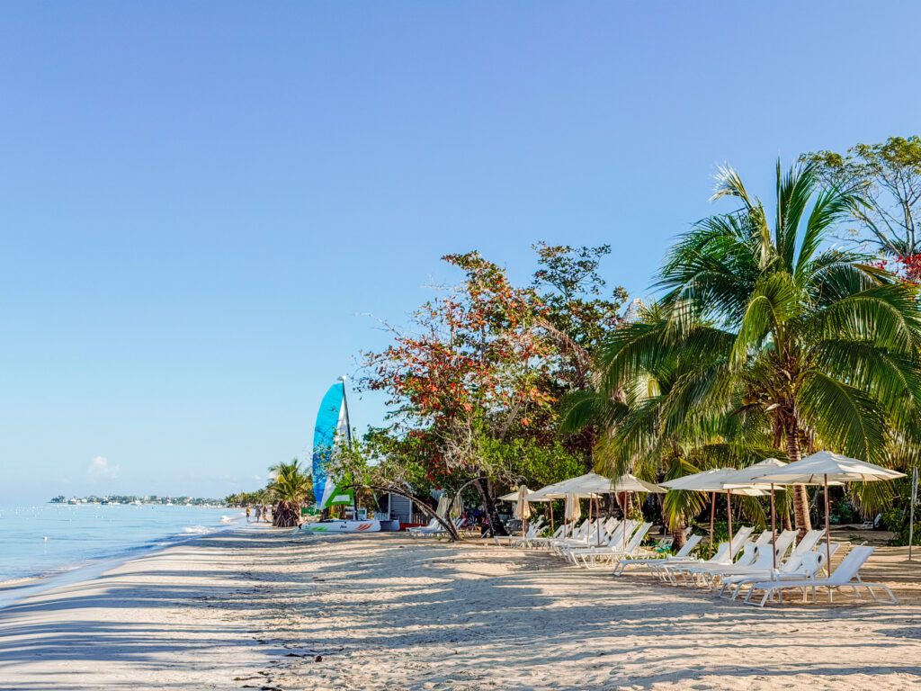 sunbeds at the resort area negril beach